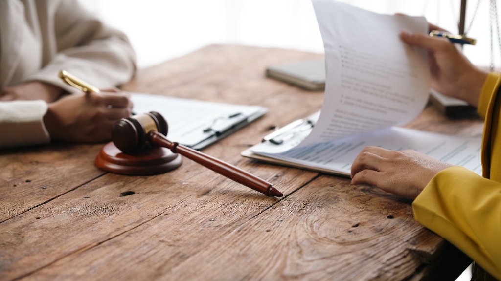 lawyer is consulting client